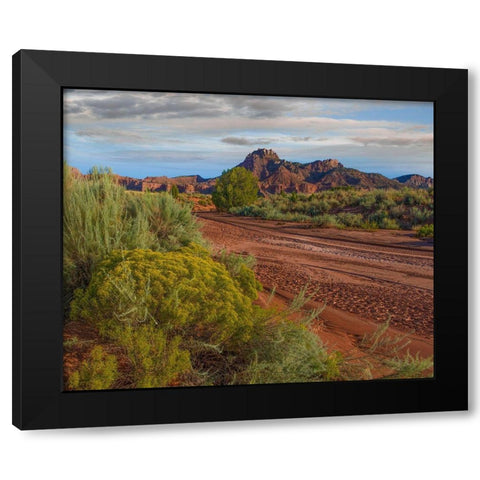 Vermillion Cliffs National Monument-Arizona-USA Black Modern Wood Framed Art Print with Double Matting by Fitzharris, Tim