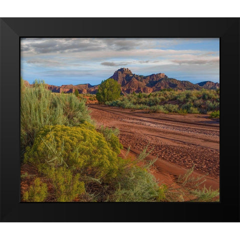 Vermillion Cliffs National Monument-Arizona-USA Black Modern Wood Framed Art Print by Fitzharris, Tim