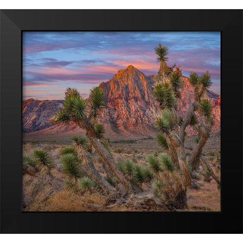 Spring Mountains at Red Rock Canyon National Conservation Area-Utah Black Modern Wood Framed Art Print by Fitzharris, Tim
