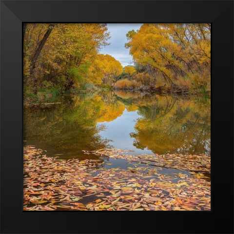 Verde River near Camp Verde-Arizona-USA Black Modern Wood Framed Art Print by Fitzharris, Tim