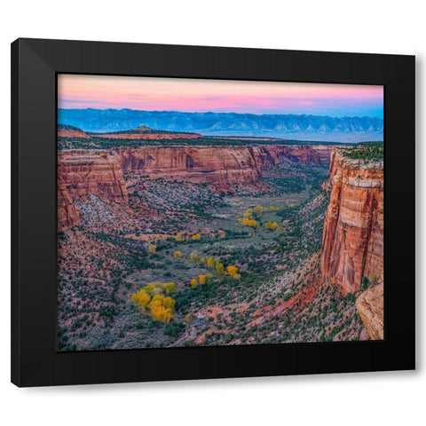 Ute Canyon-Colorado National Monument-Colorado Black Modern Wood Framed Art Print with Double Matting by Fitzharris, Tim