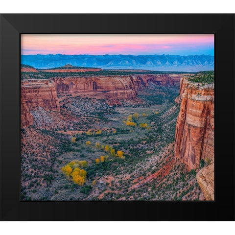 Ute Canyon-Colorado National Monument-Colorado Black Modern Wood Framed Art Print by Fitzharris, Tim