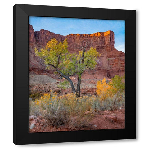 Sandstone Cliffs at Porcupine Canyon-Utah Black Modern Wood Framed Art Print with Double Matting by Fitzharris, Tim