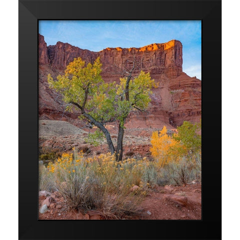 Sandstone Cliffs at Porcupine Canyon-Utah Black Modern Wood Framed Art Print by Fitzharris, Tim