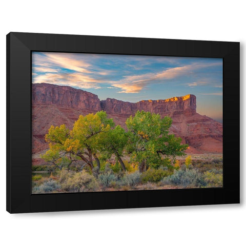 Sandstone Cliffs at Porcupine Canyon-Utah Black Modern Wood Framed Art Print with Double Matting by Fitzharris, Tim