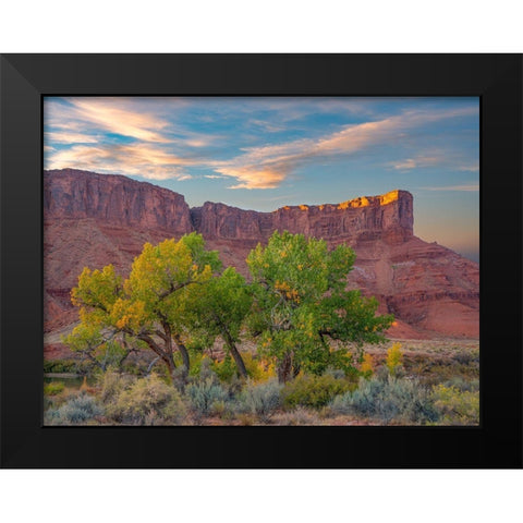 Sandstone Cliffs at Porcupine Canyon-Utah Black Modern Wood Framed Art Print by Fitzharris, Tim