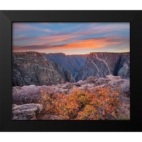 Black Canyon of the Gunnison National Park-Colorado Black Modern Wood Framed Art Print by Fitzharris, Tim