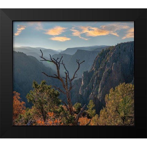 Tomichi Point-Black Canyon of the Gunnison National Park-Colorado Black Modern Wood Framed Art Print by Fitzharris, Tim