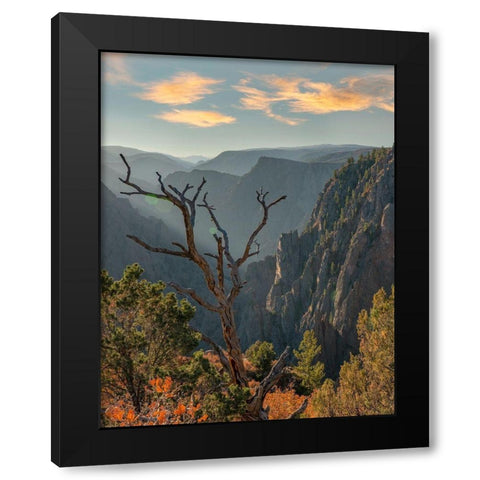 Tomichi Point-Black Canyon of the Gunnison National Park-Colorado Black Modern Wood Framed Art Print with Double Matting by Fitzharris, Tim