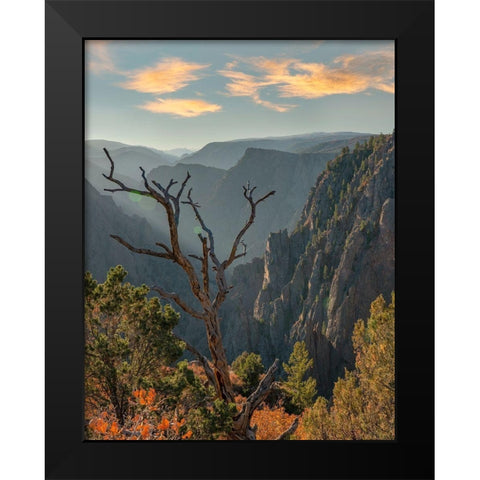 Tomichi Point-Black Canyon of the Gunnison National Park-Colorado Black Modern Wood Framed Art Print by Fitzharris, Tim