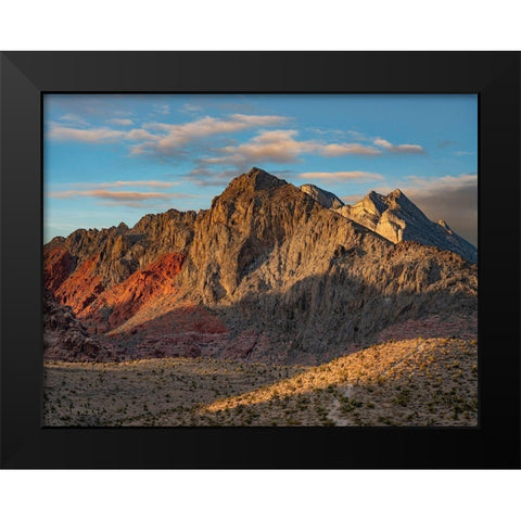 Red Rock Canyon National Conservation Area-Nevada-USA  Black Modern Wood Framed Art Print by Fitzharris, Tim