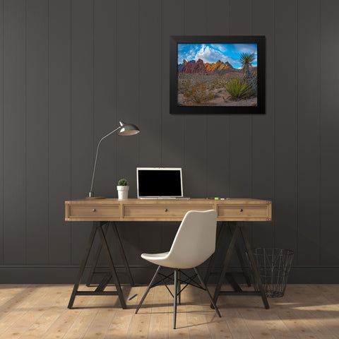 Red Rock Canyon National Conservation Area-Nevada-USA  Black Modern Wood Framed Art Print by Fitzharris, Tim