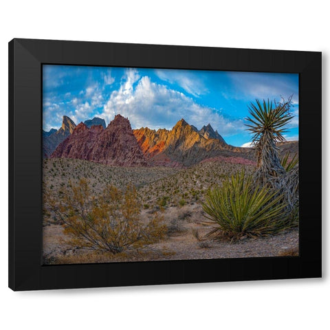 Red Rock Canyon National Conservation Area-Nevada-USA  Black Modern Wood Framed Art Print by Fitzharris, Tim