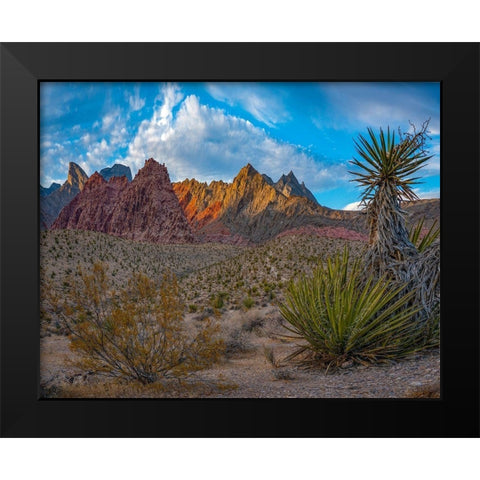 Red Rock Canyon National Conservation Area-Nevada-USA  Black Modern Wood Framed Art Print by Fitzharris, Tim