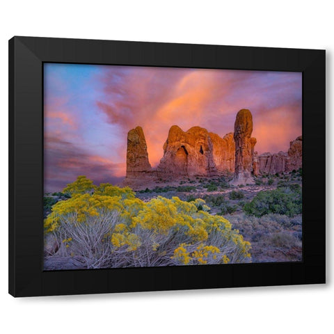 Parade of the Elephants Sandstone Formation-Arches National Park-Utah Black Modern Wood Framed Art Print with Double Matting by Fitzharris, Tim