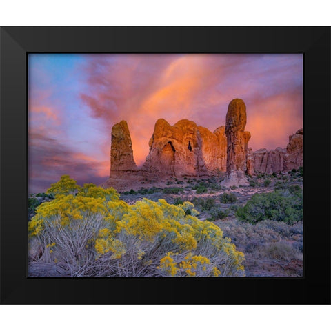 Parade of the Elephants Sandstone Formation-Arches National Park-Utah Black Modern Wood Framed Art Print by Fitzharris, Tim