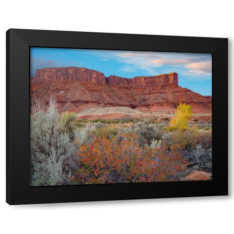 Porcupine Canyon with Dome Plateau on Colorado River near Moab-Utah Black Modern Wood Framed Art Print by Fitzharris, Tim