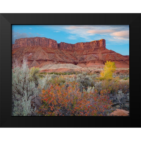 Porcupine Canyon with Dome Plateau on Colorado River near Moab-Utah Black Modern Wood Framed Art Print by Fitzharris, Tim