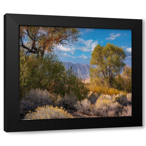 Sierra Nevada-Owens Valley-California-USA Black Modern Wood Framed Art Print with Double Matting by Fitzharris, Tim