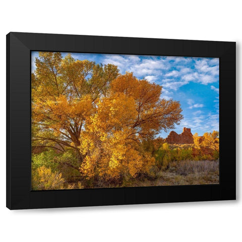 Courthouse Towers from Courthouse Wash-Arches National Park-Utah Black Modern Wood Framed Art Print with Double Matting by Fitzharris, Tim