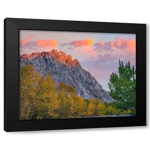 Mount Tom-Eastern Sierra-California-USA Black Modern Wood Framed Art Print with Double Matting by Fitzharris, Tim