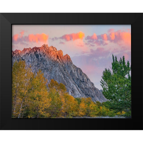 Mount Tom-Eastern Sierra-California-USA Black Modern Wood Framed Art Print by Fitzharris, Tim