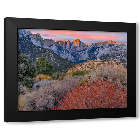 Mount Whitney-Sequoia National Park-California-USA Black Modern Wood Framed Art Print by Fitzharris, Tim