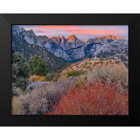 Mount Whitney-Sequoia National Park-California-USA Black Modern Wood Framed Art Print by Fitzharris, Tim