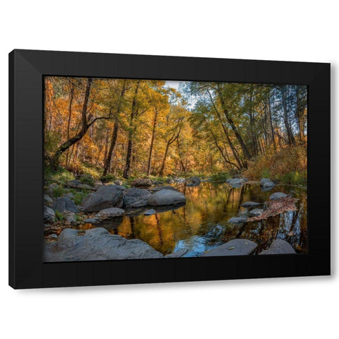 Oak Creek near Sedona-Arizona-USA Black Modern Wood Framed Art Print with Double Matting by Fitzharris, Tim