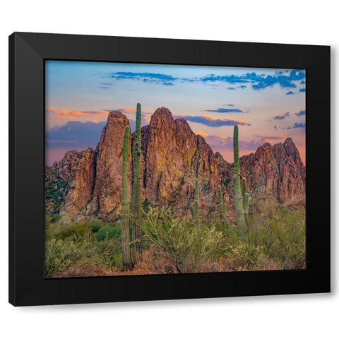 Usury Mountains from Tortilla Flat-Arizona-USA Black Modern Wood Framed Art Print by Fitzharris, Tim