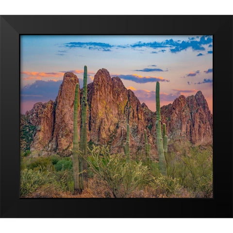 Usury Mountains from Tortilla Flat-Arizona-USA Black Modern Wood Framed Art Print by Fitzharris, Tim