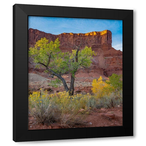 Porcupine Canyon on Colorado River near Castle Valley-Utah Black Modern Wood Framed Art Print by Fitzharris, Tim