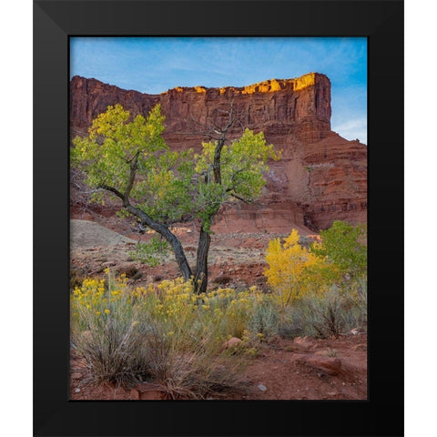 Porcupine Canyon on Colorado River near Castle Valley-Utah Black Modern Wood Framed Art Print by Fitzharris, Tim