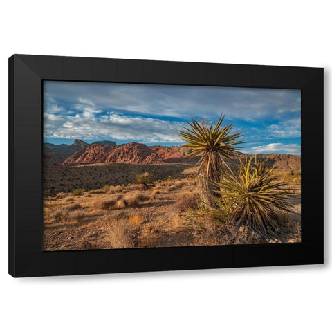 Red Rock Canyon National Conservation Area near Las Vegas-Nevada Black Modern Wood Framed Art Print with Double Matting by Fitzharris, Tim