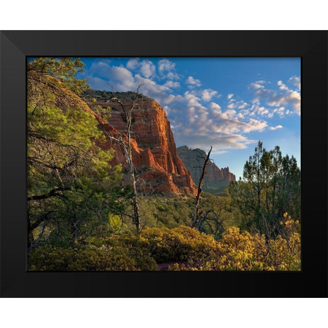 Coconino National Forest near Sedona-Arizona-USA Black Modern Wood Framed Art Print by Fitzharris, Tim