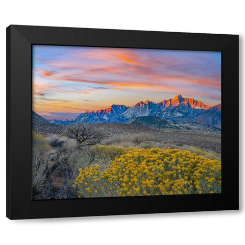 Sierra Nevada from Owens Valley-California-USA Black Modern Wood Framed Art Print with Double Matting by Fitzharris, Tim