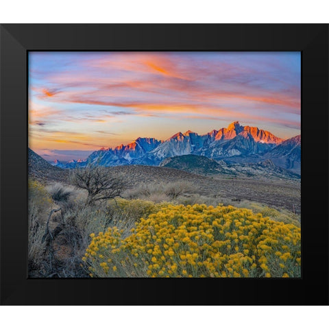 Sierra Nevada from Owens Valley-California-USA Black Modern Wood Framed Art Print by Fitzharris, Tim