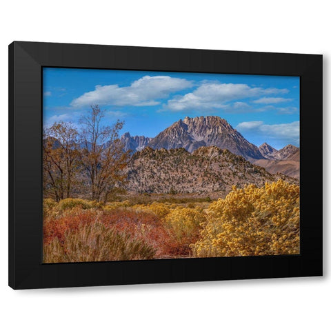 Sierra Nevada from Buttermilk Road near Bishop-California-USA Black Modern Wood Framed Art Print with Double Matting by Fitzharris, Tim