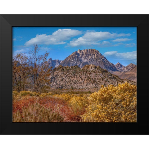 Sierra Nevada from Buttermilk Road near Bishop-California-USA Black Modern Wood Framed Art Print by Fitzharris, Tim