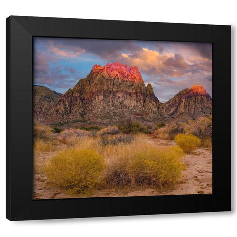 Spring Mountains-Red Rock Canyon National Conservation Area-Nevada Black Modern Wood Framed Art Print by Fitzharris, Tim