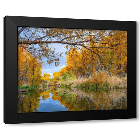 Verde River near Camp Verde-Arizona-USA Black Modern Wood Framed Art Print by Fitzharris, Tim