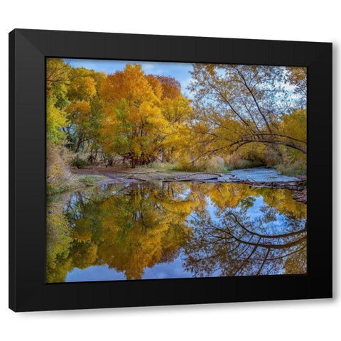 Verde River near Camp Verde-Arizona-USA Black Modern Wood Framed Art Print with Double Matting by Fitzharris, Tim