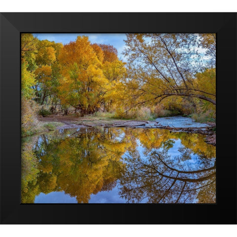 Verde River near Camp Verde-Arizona-USA Black Modern Wood Framed Art Print by Fitzharris, Tim