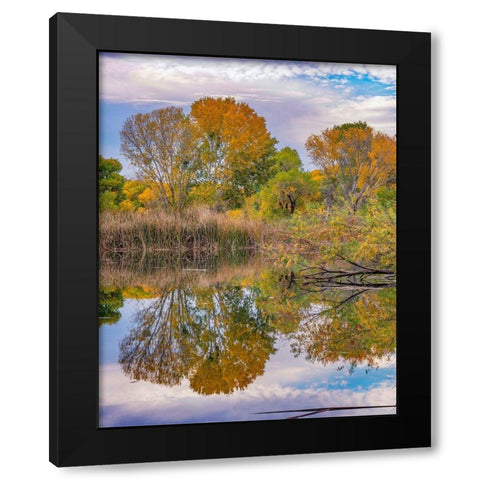 Verde River Valley-Lagoon at Dead Horse Ranch State Park-Arizona Black Modern Wood Framed Art Print with Double Matting by Fitzharris, Tim