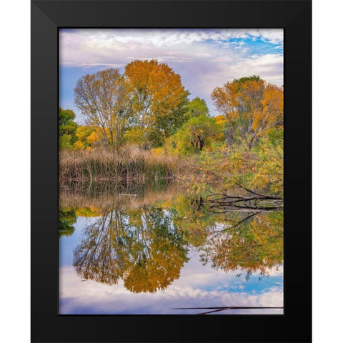 Verde River Valley-Lagoon at Dead Horse Ranch State Park-Arizona Black Modern Wood Framed Art Print by Fitzharris, Tim