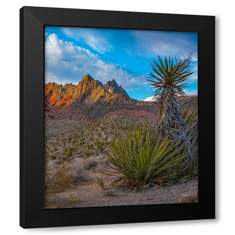 Red Rock Canyon National Conservation Area near Las Vegas-Nevada Black Modern Wood Framed Art Print with Double Matting by Fitzharris, Tim