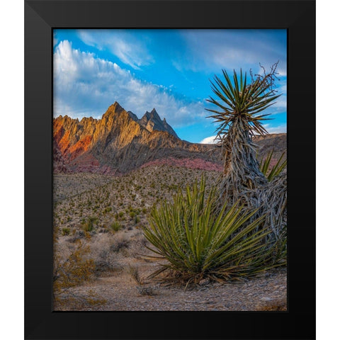 Red Rock Canyon National Conservation Area near Las Vegas-Nevada Black Modern Wood Framed Art Print by Fitzharris, Tim