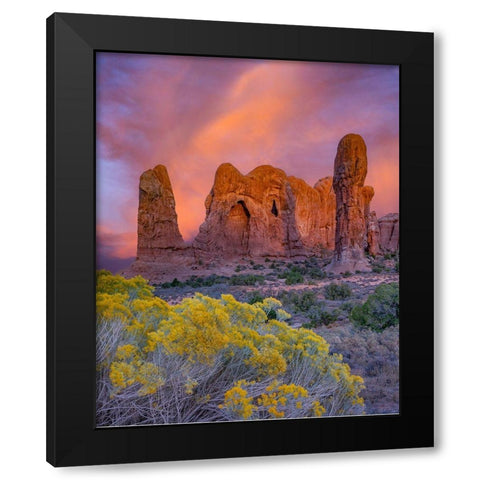 Parade of the Elephants sandstone formation-Arches National Park-Utah Black Modern Wood Framed Art Print with Double Matting by Fitzharris, Tim