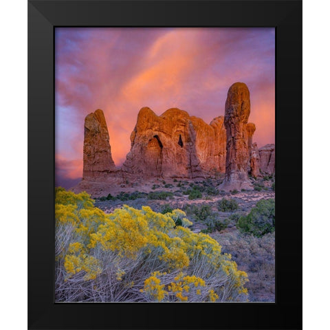 Parade of the Elephants sandstone formation-Arches National Park-Utah Black Modern Wood Framed Art Print by Fitzharris, Tim