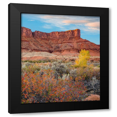 Porcupine Canyon on Colorado River near Castle Valley-Utah Black Modern Wood Framed Art Print by Fitzharris, Tim